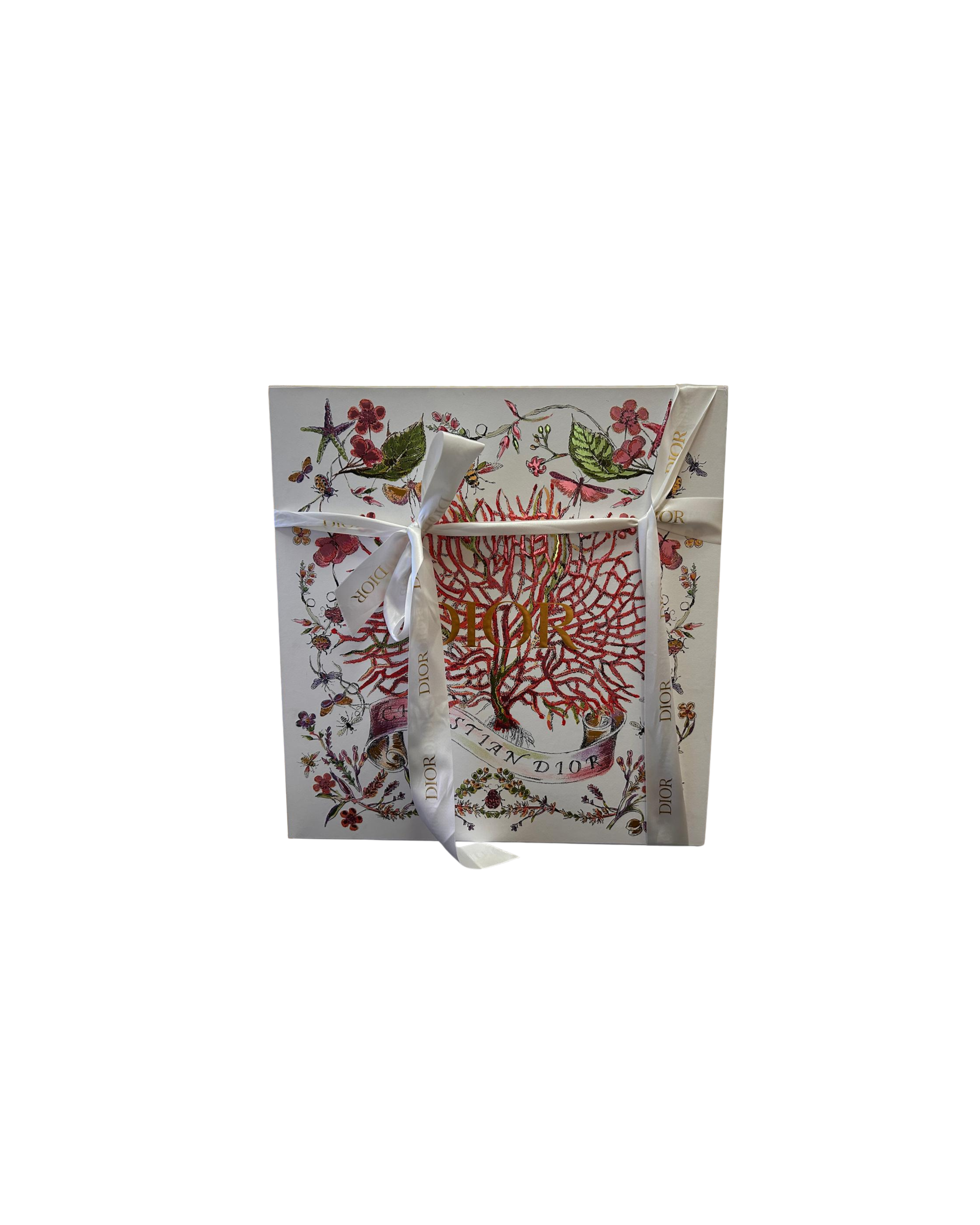 Dior Borsa Tote Book Medium Embroidered Blue Ecru - Usato Autentico