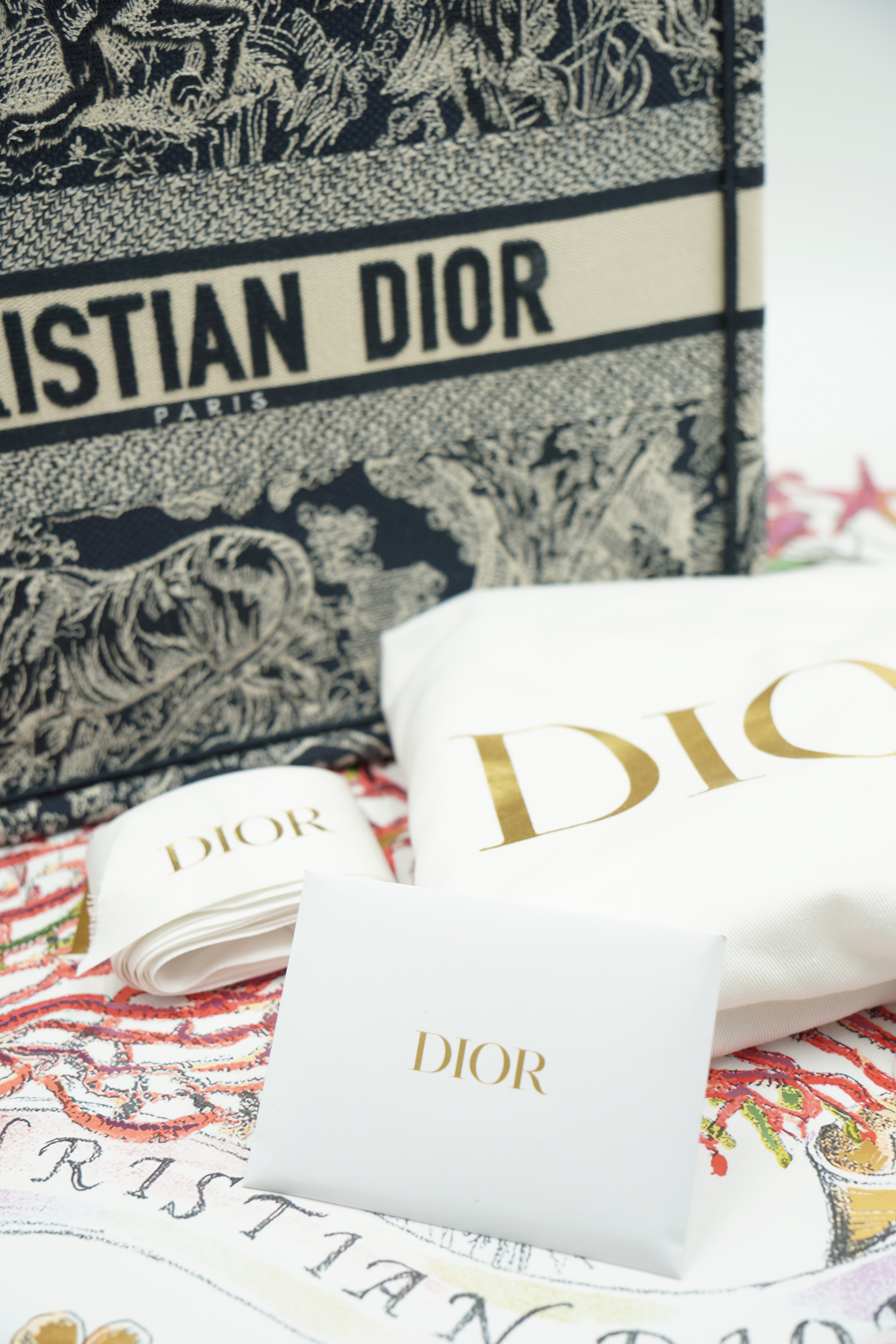 Dior Book Tote Bag Medium Embroidered Blue Ecru - Pre-owned Authentic