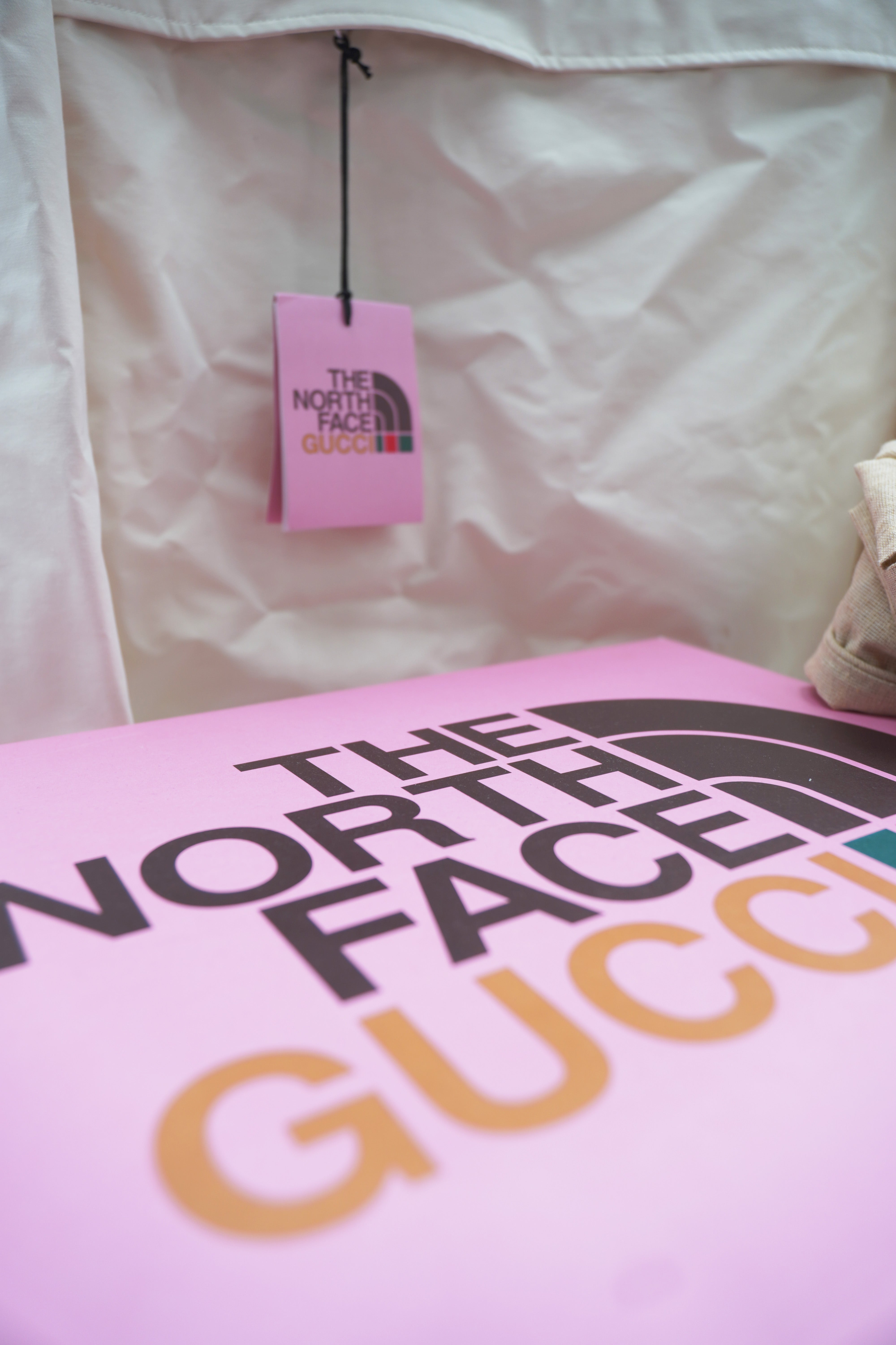 Giacca a vento Gucci x North face