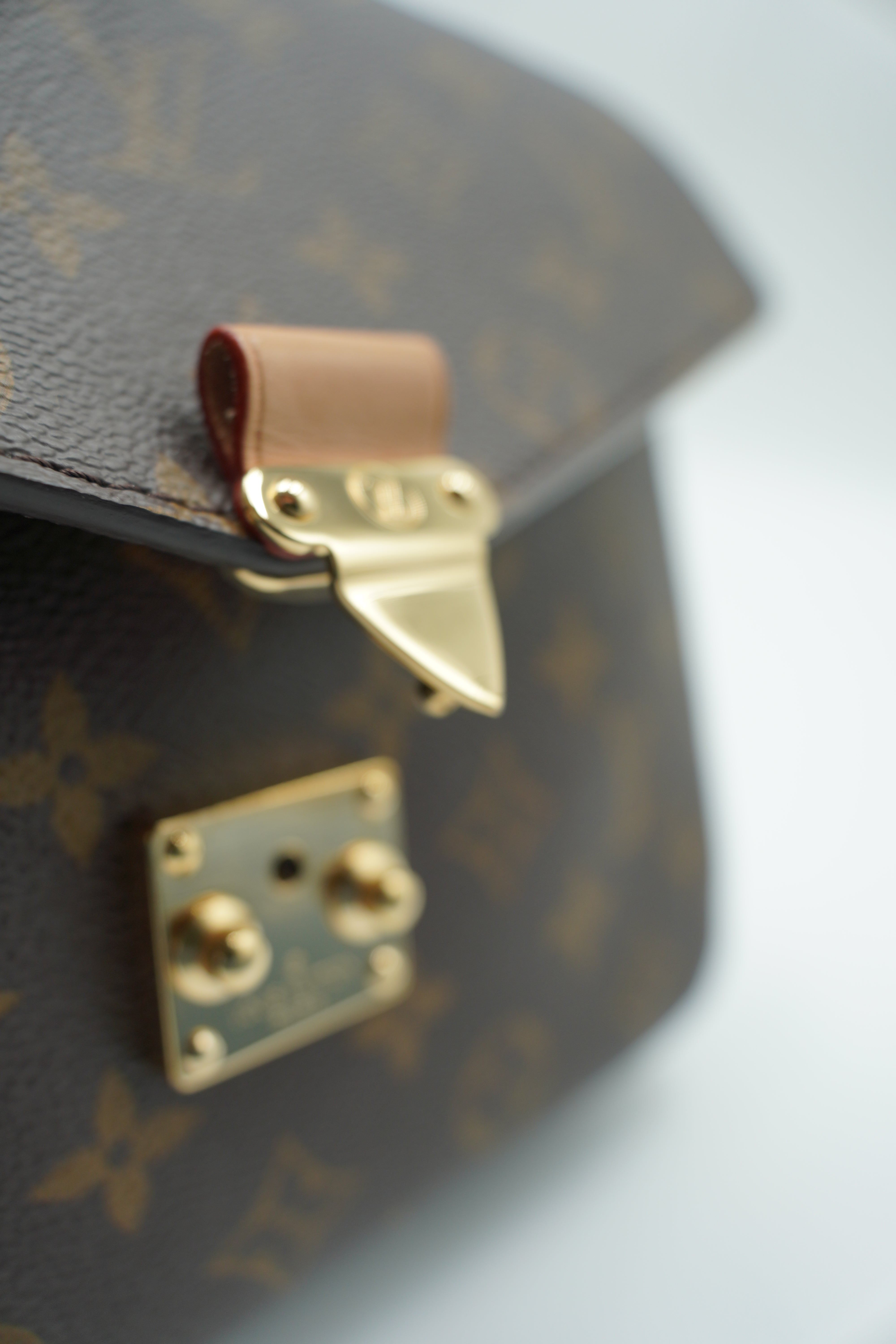 Louis Vuitton Metis Monogram bag