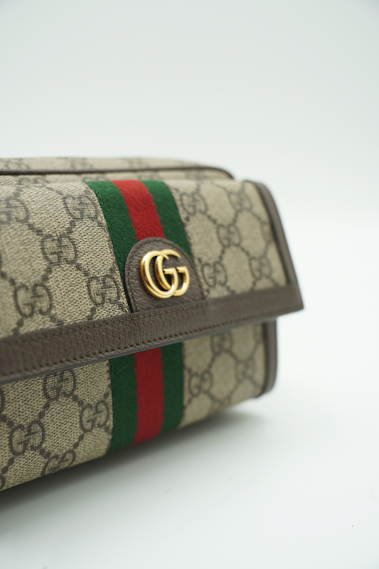 Gucci Mini Borsa Ophidia Beige e Marrone GG