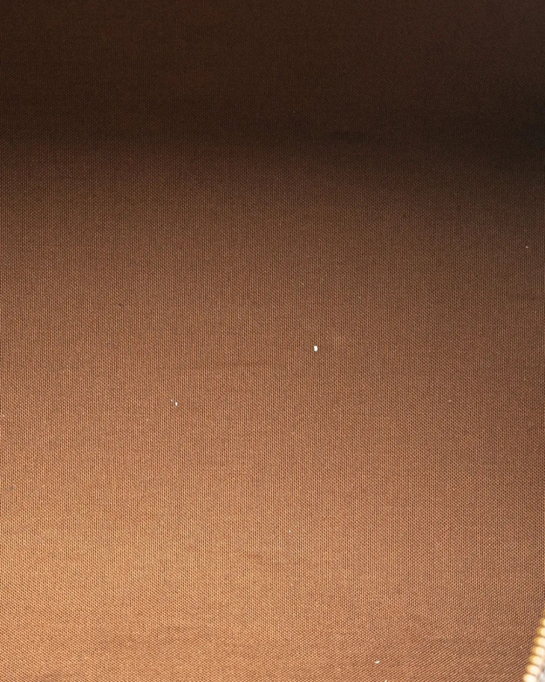 Bolso Louis Vuitton Speedy 40 Monogram