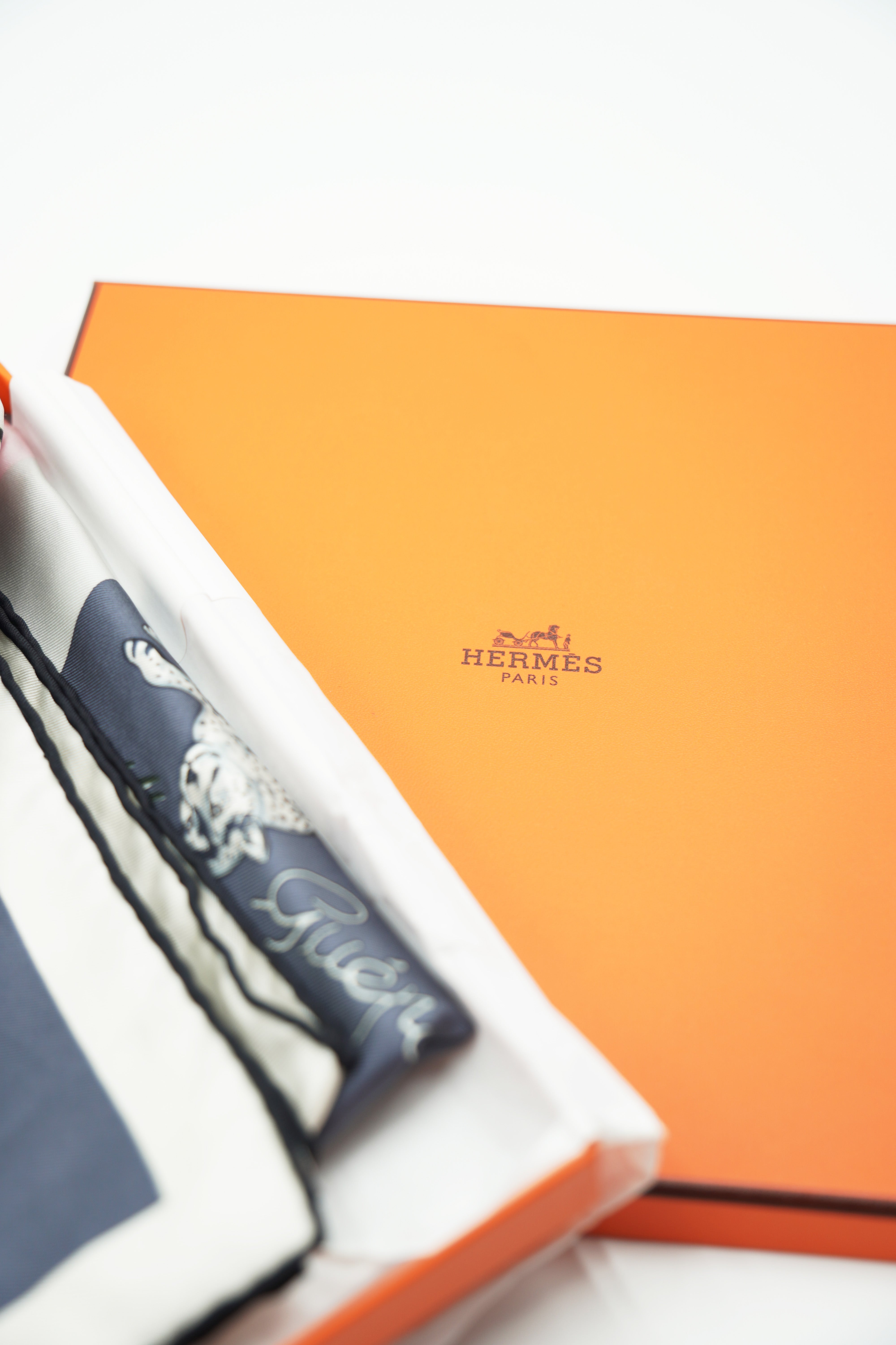 Foulard Hermès Guépards