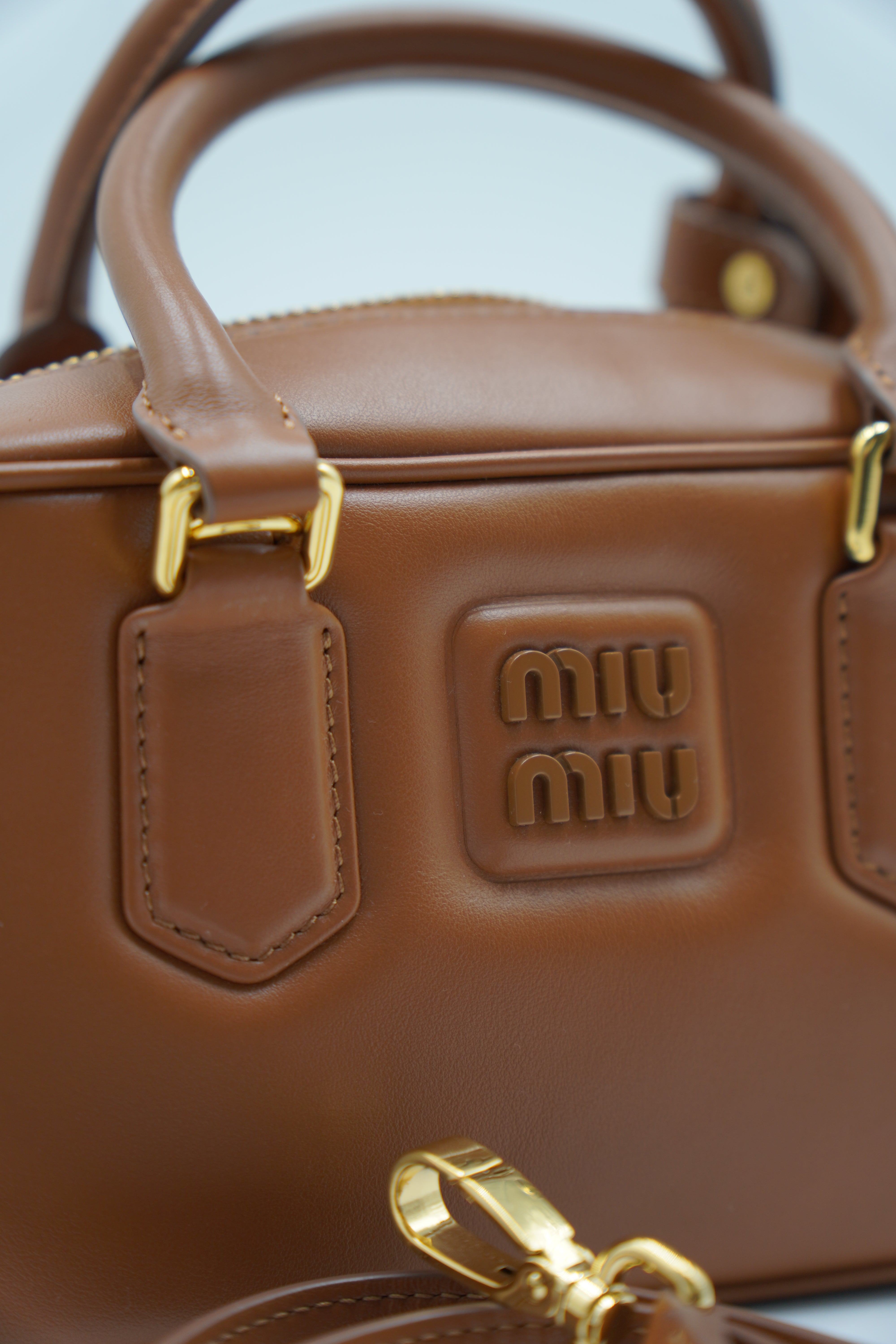 Miu Miu Borsa Arcadie Cognac Regular