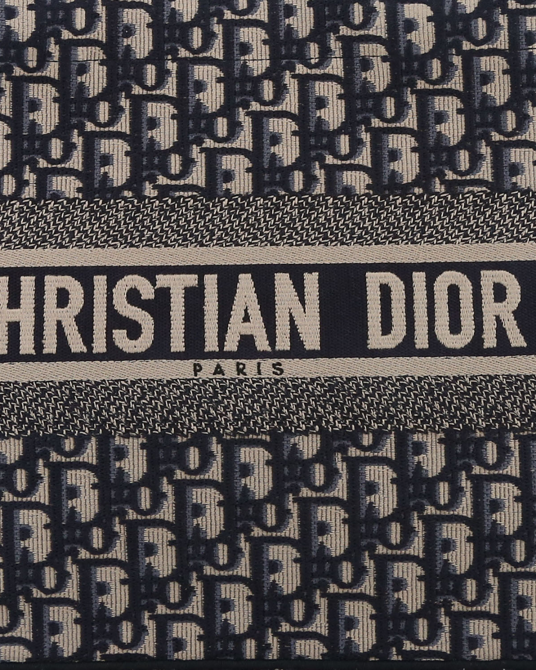 Christian Dior Borsa Book Tote Small Tela Oblique Blu pre-owned certificata - Aurea Luxury Lab