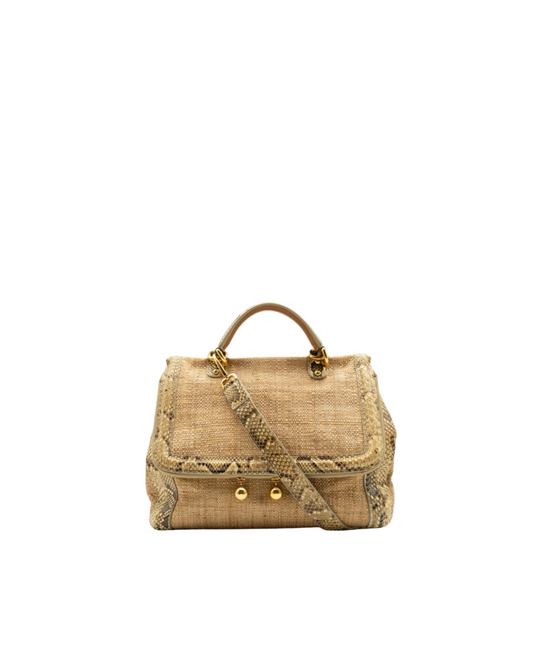 Dolce&Gabbana Borsa Rafia e Pitone - Aurea Luxury Lab